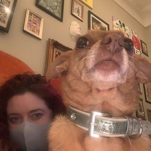 Meet your Posher, Mark